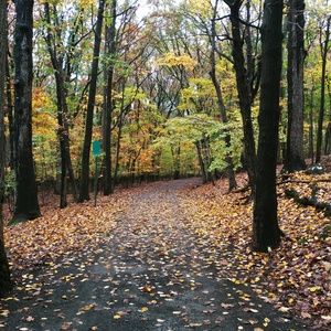 Meet your Posher, Bill